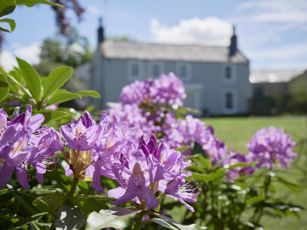 5 Bed In Loweswater Sz424 Lorton Zewnętrze zdjęcie
